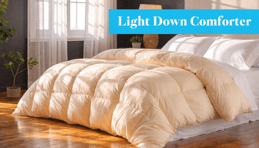 Experience the Best: Light Down Alternative Comforter