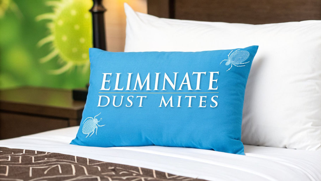 A Guide To Eliminating Pillow Dust Mites For Good